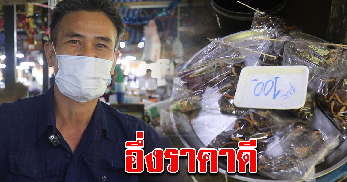 ฝนตกหนัก ชาวบ้านจับอึ่ง