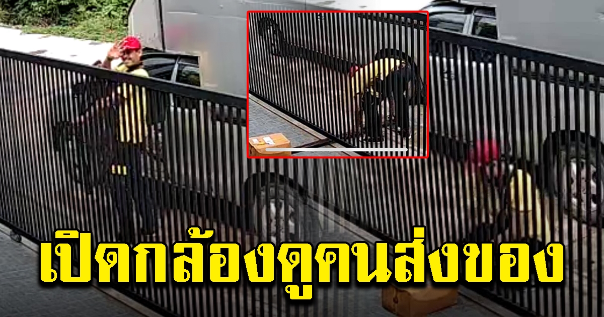 หนุ่มพนักงานส่งของ