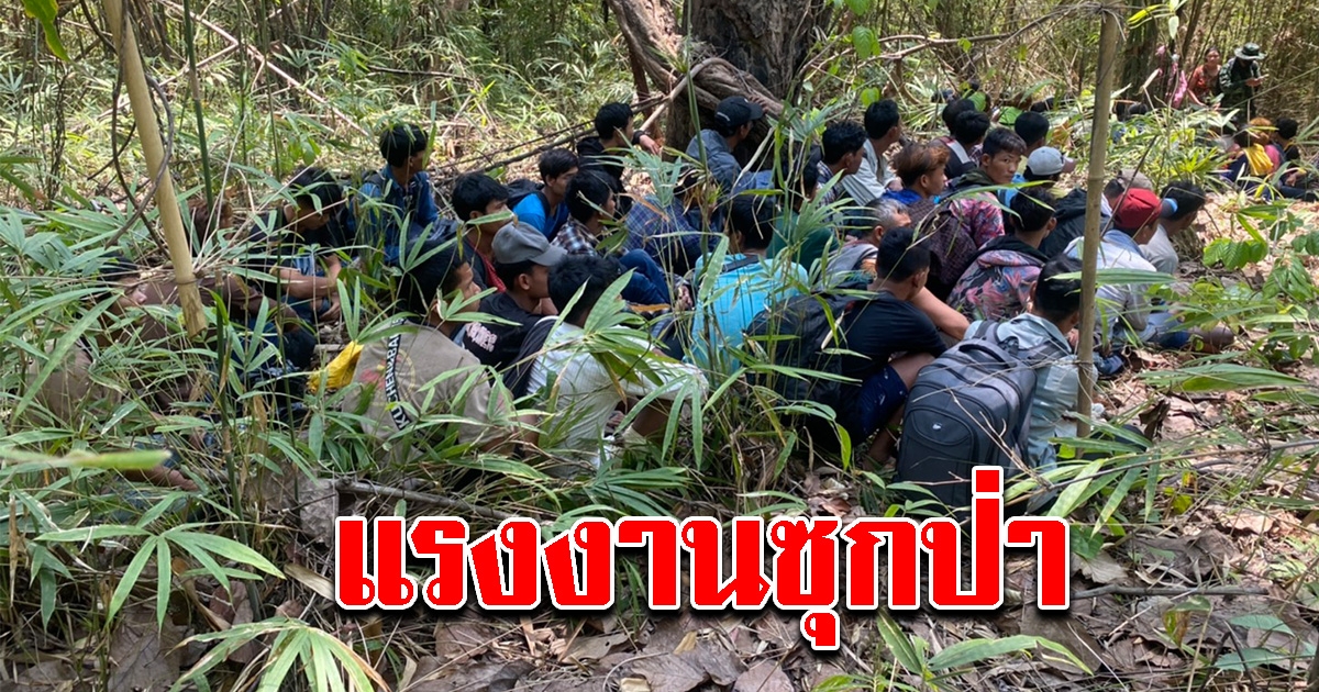 จนท.รวบแรงงานเมียนมา ซุกในป่า