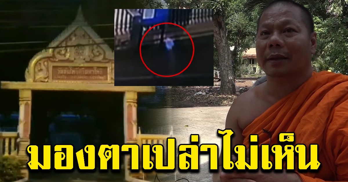 เจ้าอาวาส เผยแสงไฟหน้าวัด