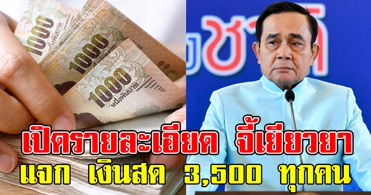 เปิดรายละเอียด จี้เยียวยาแจก เงินสด 2 เดือน คนละ 3,500 ทุกคน