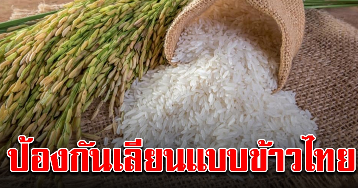 ฮ่องกง จดทะเบียนรับรอง ข้าวหอมมะลิไทยแล้ว