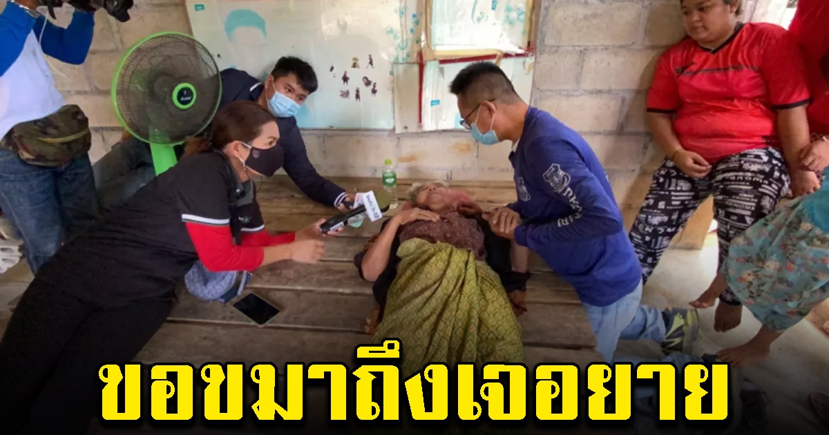 ยายเล่านาที เดินหลงป่า