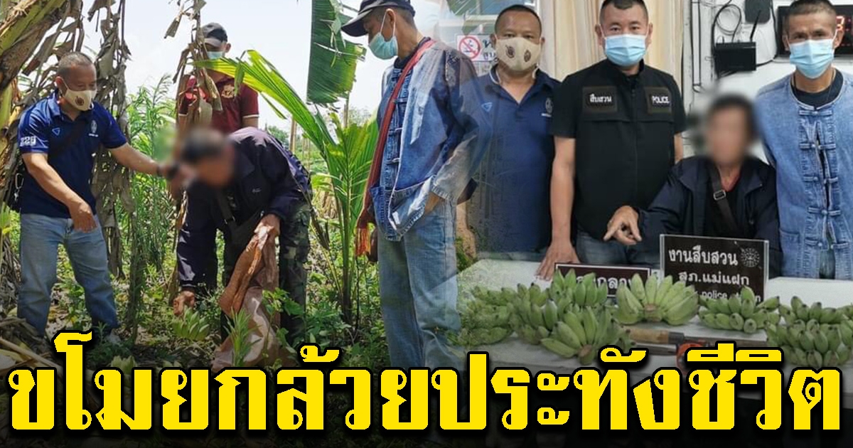 ลุงวัย 69 ปี ไม่มีงานทำ