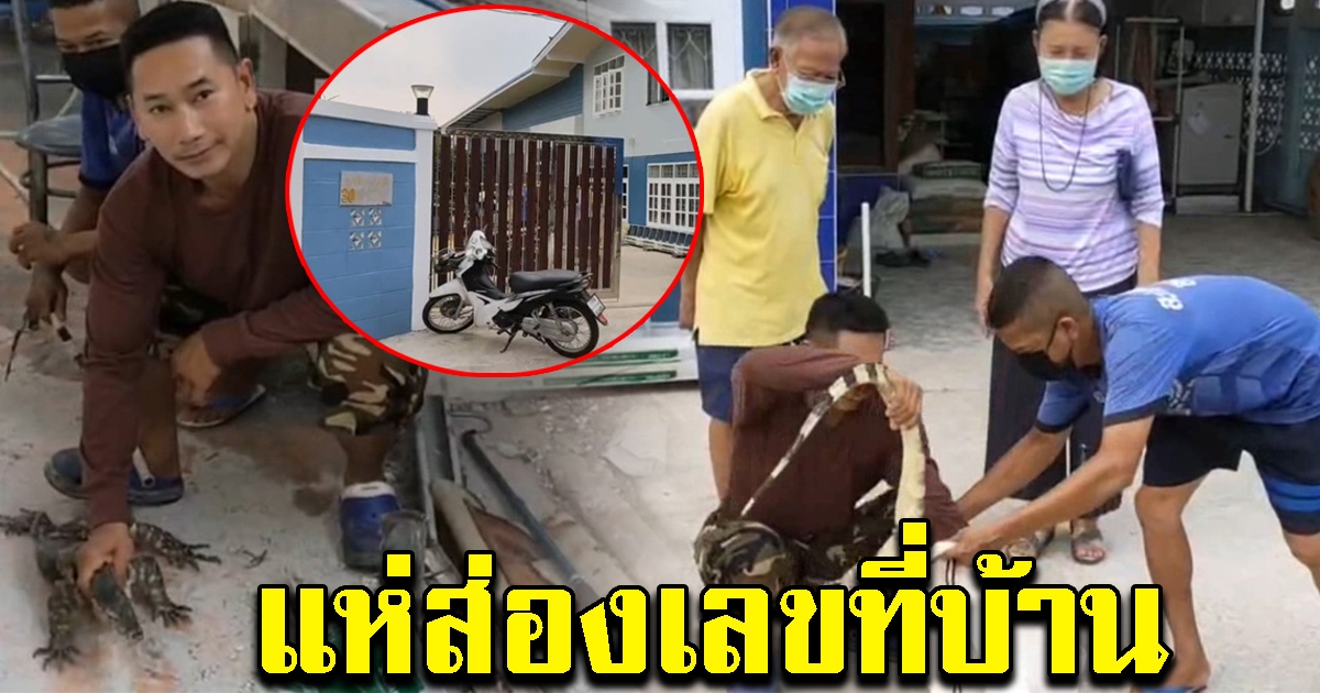 สาวตกใจ ตัวเงิน ตัวทอง เข้าบ้าน