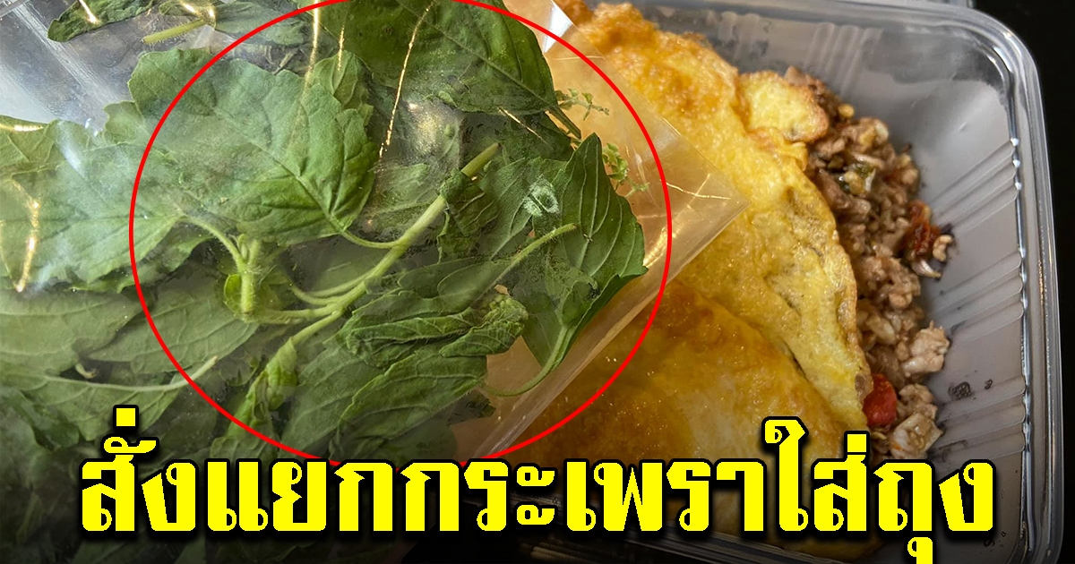 สาวสั่งข้าวผัดกระเพรา