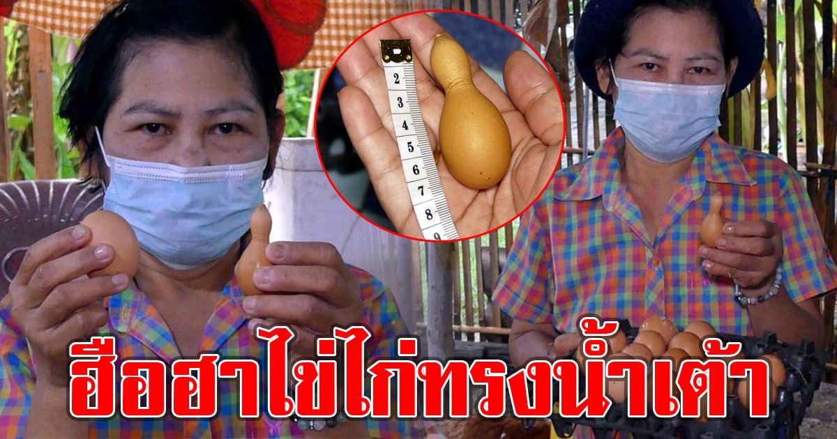 ชาวบ้านพบ ไก่ออกไข่ คล้ายน้ำเต้า