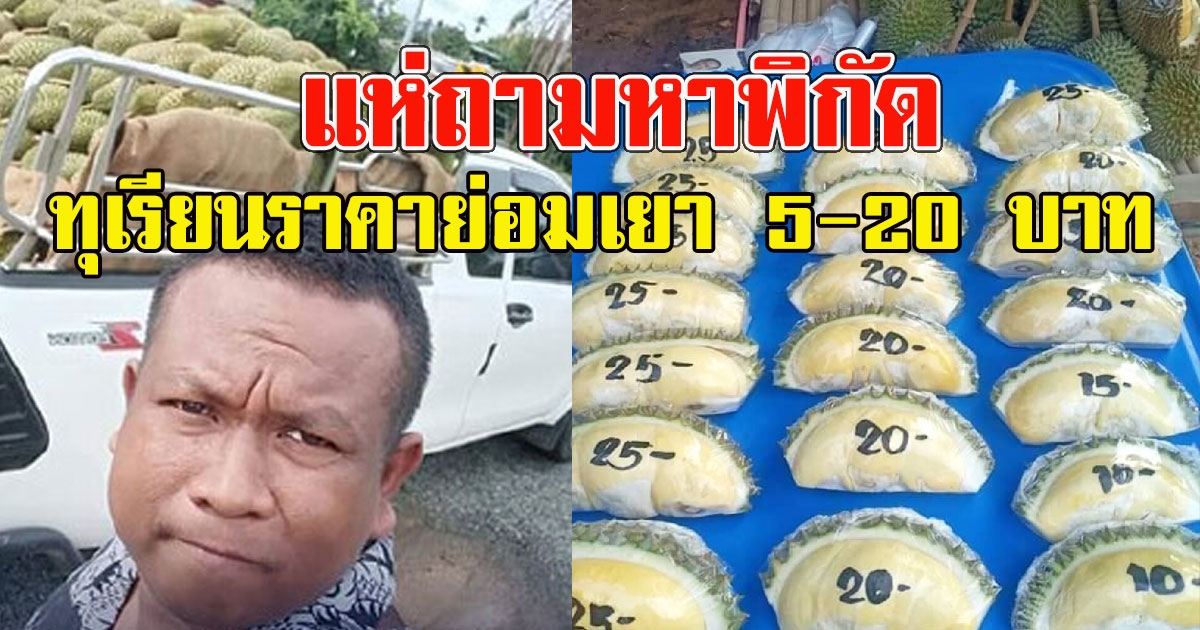 แห่ถามหาพิกัด ทุเรียนราคาย่อมเยา 5-20 คนต่อแถวเพียบ