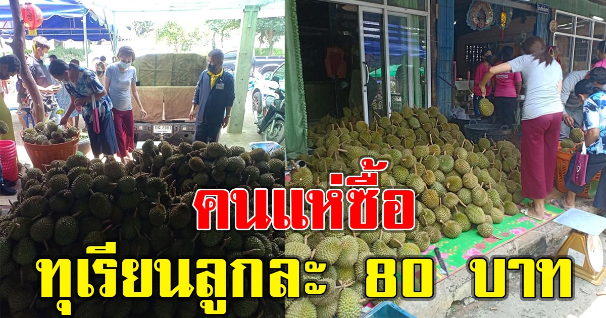 หนุ่มเปิดขายทุเรียน ลูกละแค่ 80