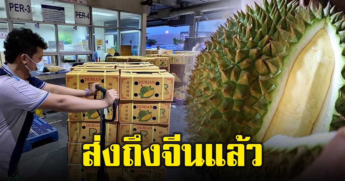 ทุเรียนเมืองขลุง จันทบุรี ถึงจีนแล้ว