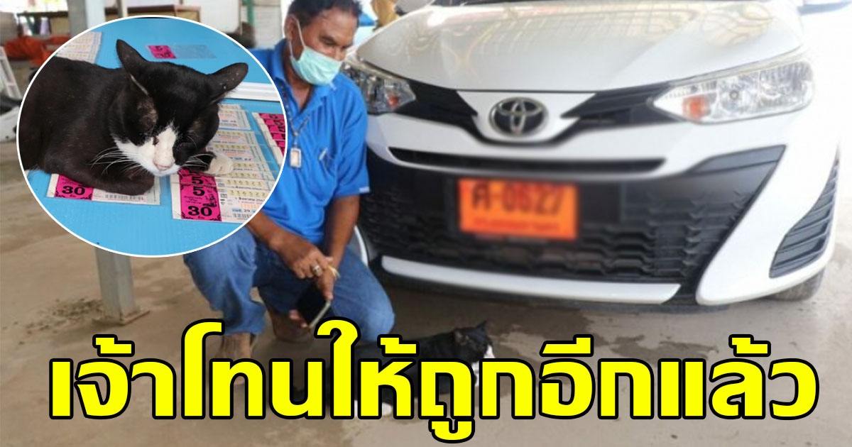 เจ้าโทน แมวตะเคียนให้รางวัล