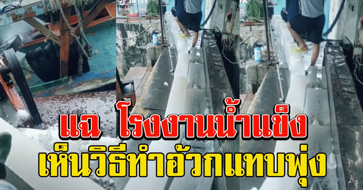 แฉ โรงงานน้ำแข็ง ใช้เท้าเหยียบ ก่อนส่งให้ลูกค้า