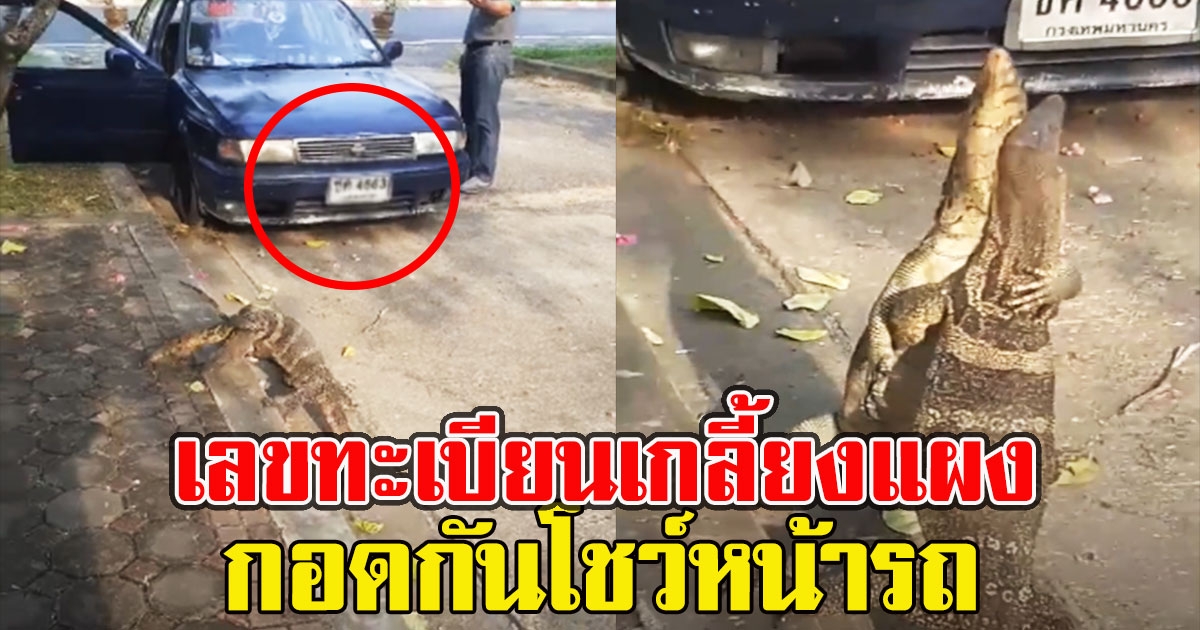 ตัวเงินตัวทอง ยืนกอดกันโชว์ อยู่หน้ารถเลขทะเบียนสวย