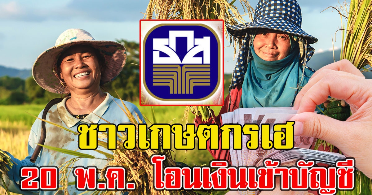 มีเงินเข้าบัญชีเกษตร 20 พ.ค. ตรวจสอบเงินประกันรายได้เกษตรกร งวด 7 กลุ่มนี้เท่านั้น