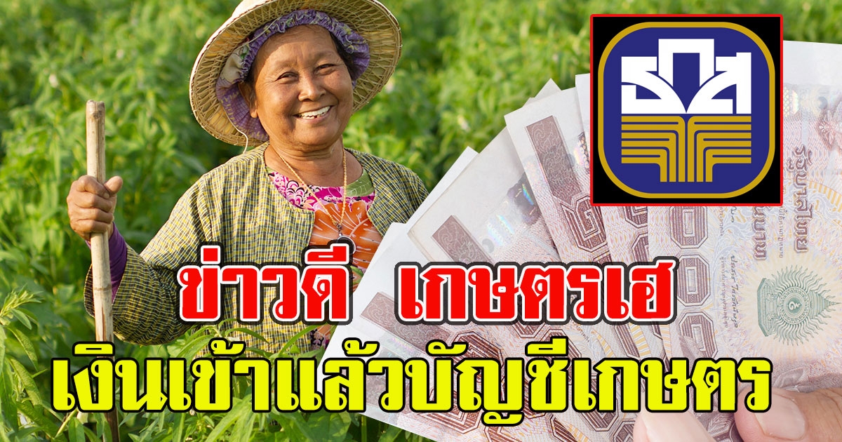 เงินเข้าแล้ว บัญชีเกษตร เช็กเลยเงินประกันรายได้เกษตรกร งวด 7 กลุ่มนี้เท่านั้น