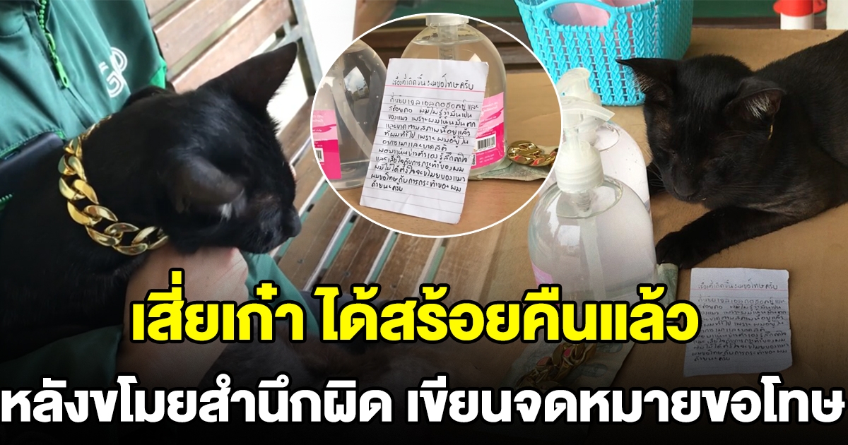 เสี่ยเก๋า ได้สร้อยคืนแล้ว