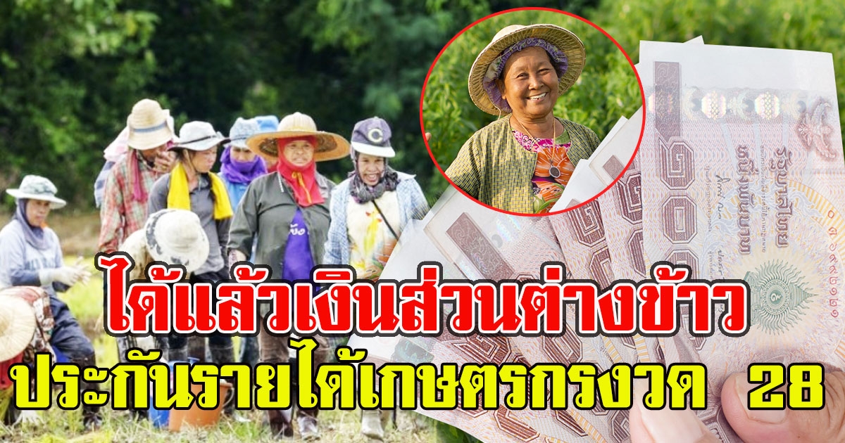 ได้เงินแล้ว ตรวจสอบที่นี่ เงินประกันรายได้เกษตร ประกันราคาข้าว รอบที่ 1 งวดที่ 28