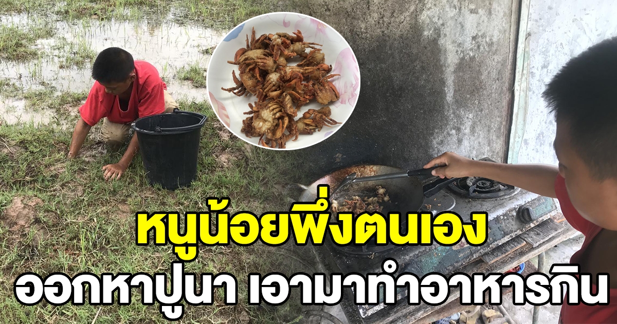 หนูน้อย ออกหาปูนา มาทำอาหารกิน