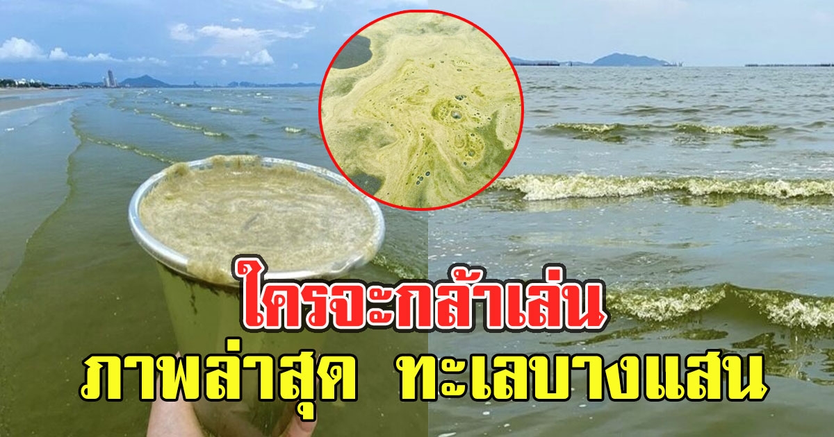 ใครจะกล้าเล่น ภาพล่าสุด ทะเลบางแสน