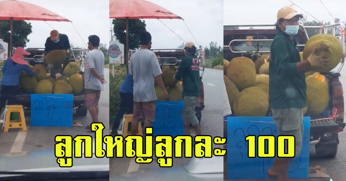 ผลไม้ลูกใหญ๋ สุดคุ้มลูกละ 100 เห็นแล้วอดแวะซื้อไม่ได้