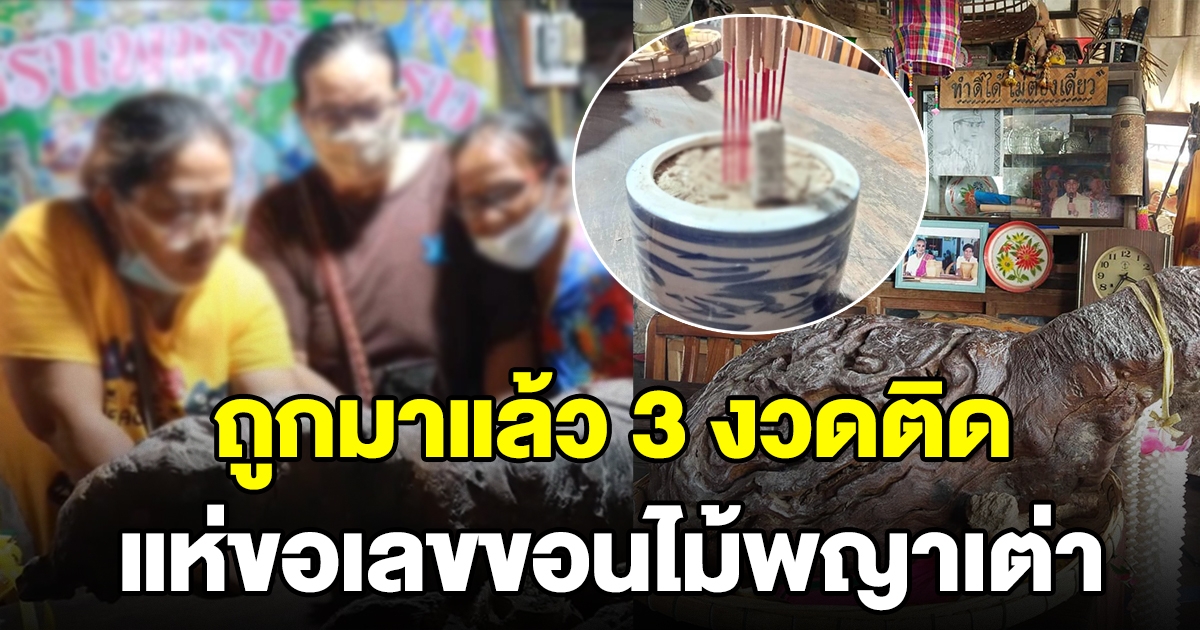 ชาวบ้านขอเลข ขอนไม้พญาเต่า