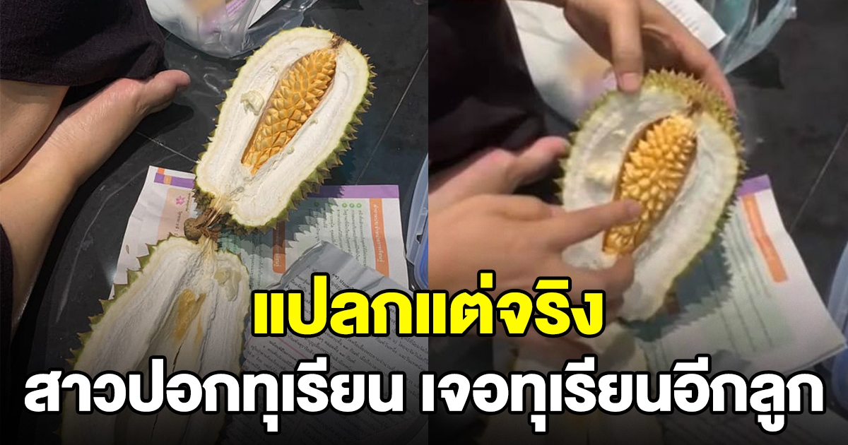 สาวปอกทุเรียน เจอทุเรียนอีกลูก