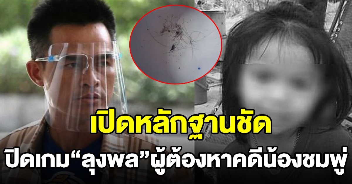 เปิดหลักฐานชัด จบเกมน็อก ลุงพล ผู้ต้องหา ปิดคดีน้องชมพู่