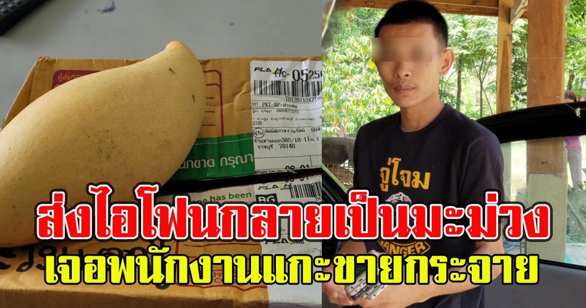 ส่งไอโฟน ผ่านขนส่งดัง ถึงปลายทางกลายเป็น มะม่วง เจอพนักงานแกะขายกระจาย