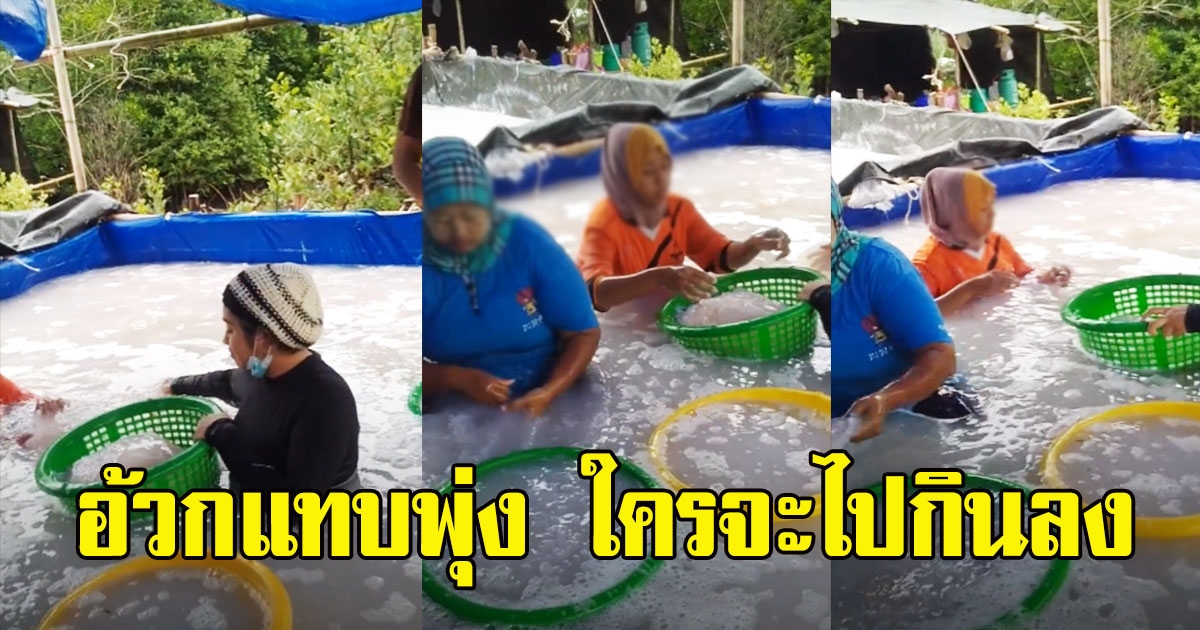 สาวโพสต์คลิป โรงงานทำแมงกระพรุน ลงไปล้างทั้งตัว
