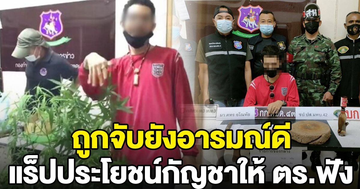 หนุ่มค้ากัญชา ถูกจับยังอารมณ์ดี  โชว์ร้องแร็ปประโยชน์ของกัญชา ให้ตำรวจฟัง