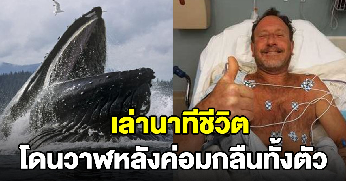 หนุ่มเลานาที โดนวาฬหลังค่อม กลืนเข้าไปทั้งตัว