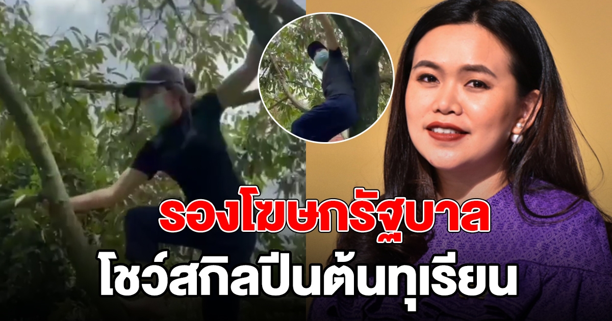 รองโฆษกรัฐบาล ปีนตัด ทุเรียนภูเขาไฟ ที่ศรีสะเกษ