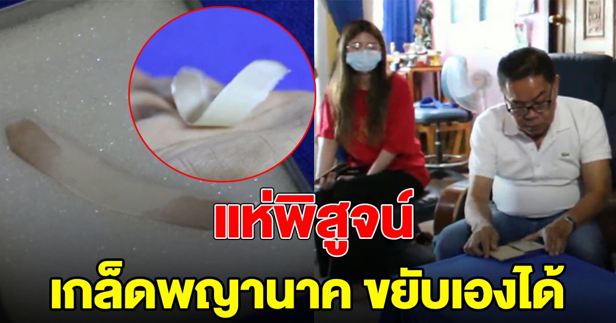 พิสูจน์ เกล็ดพญานาค วางบนมือขยับเองได้