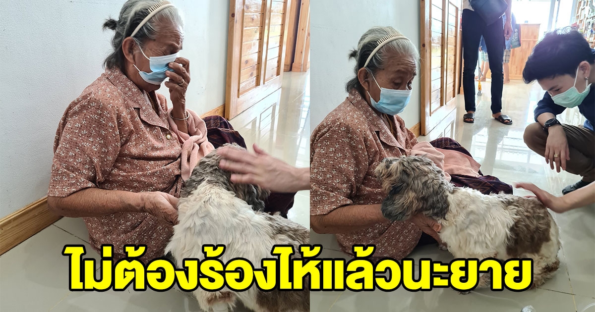 ยายน้ำตาไหล ไม่มีเงินรักษาเจ้าตูบ สุดท้ายหมอใจดี รักษาให้ฟรีๆ