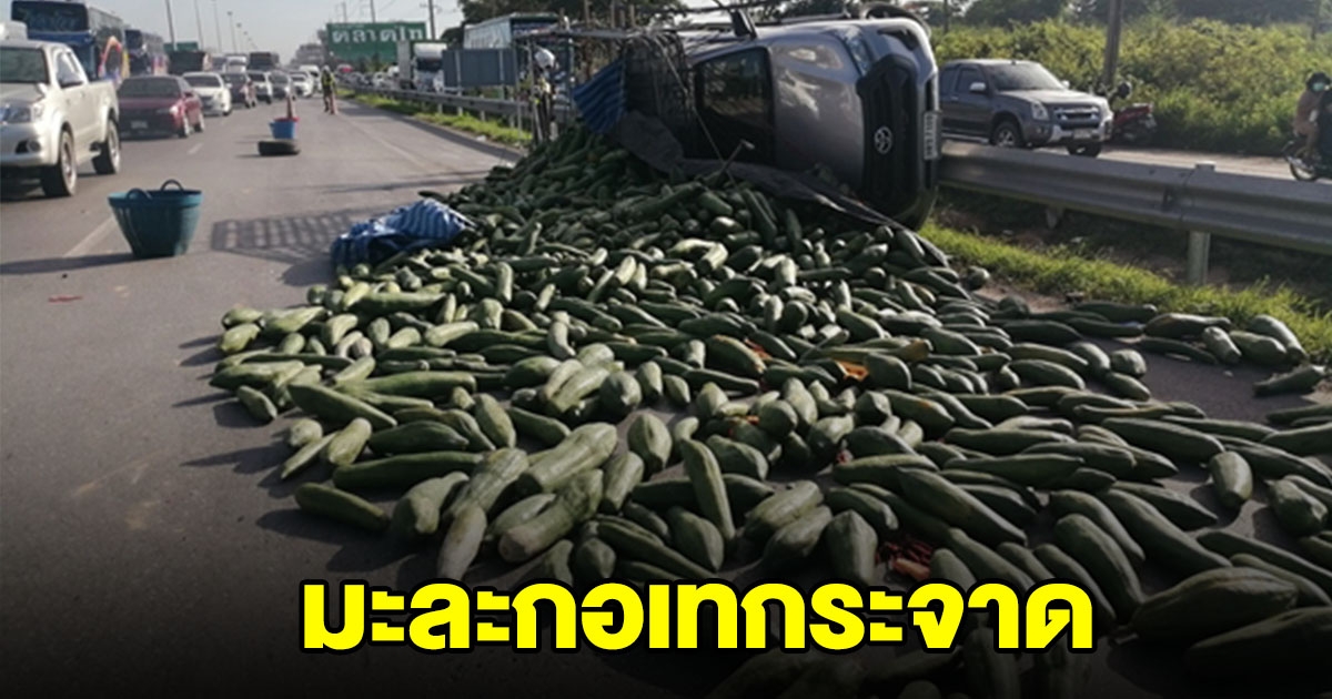 รถกระบะบรรทุกมะละกอ 4 พลิกคว่ำ มะละกอเกลื่อนถนน