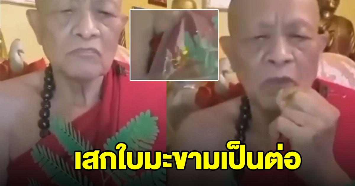 พระเสกใบมะขาม กลายเป็นตัวต่อ