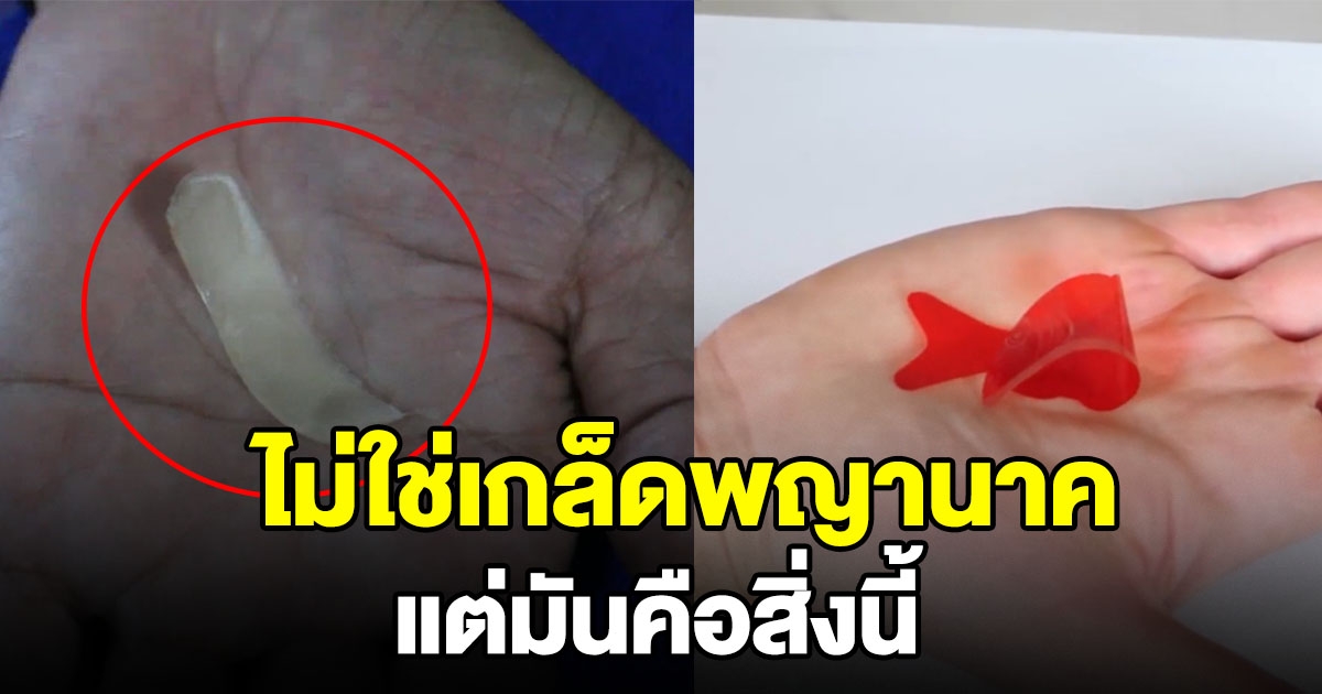 อาจารย์เผยแล้ว ที่ชาวบ้านเห็น ไม่ใช่ เกล็ดพญานาค