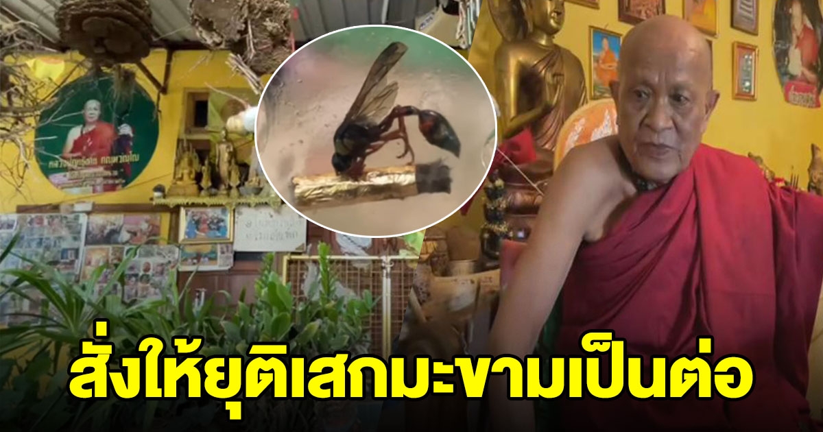 เจ้าคณะอำเภอ สั่งยุติพิธีเสกใบมะขามเป็นตัวต่อ