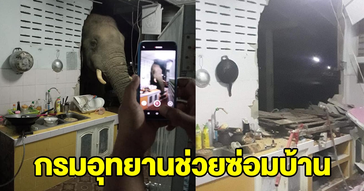 กรมอุทยานช่วยซ่อมบ้าน