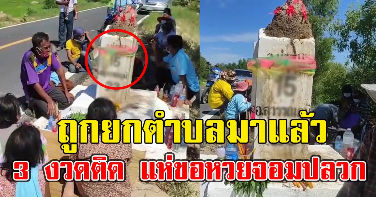 จอมปลวกบนหลักกิโลเมตร