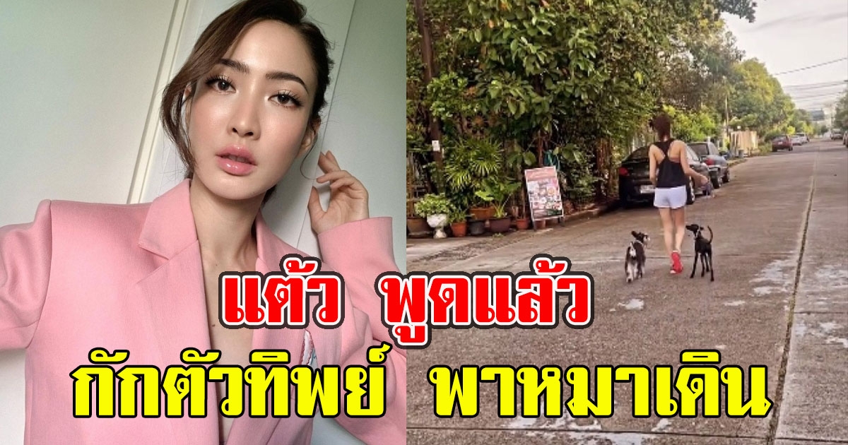 แต้วพูดแล้ว หลังเจอซัดกักตัวทิพย์ พาน้องโฮ่งเดินหน้าบ้าน