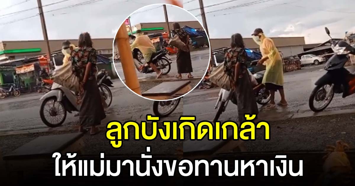 ลูกพาแม่มาตลาดนัด