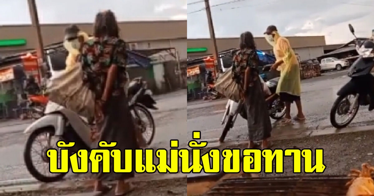 ลูกบังเกิดเกล้า พาแม่มาปล่อยตลาด ให้นั่งขอทาน