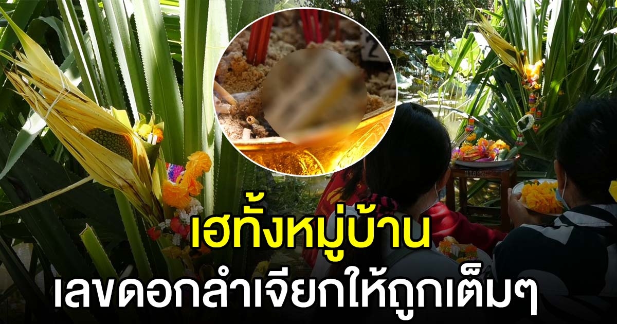 เฮทั้งหมู่บ้าน ดอกลำเจียกโบราณ ให้รางวัล