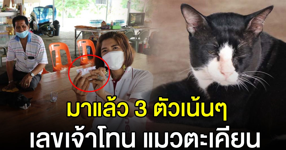 มาแล้วเลขเจ้าโทน 16 กรกฎาคม