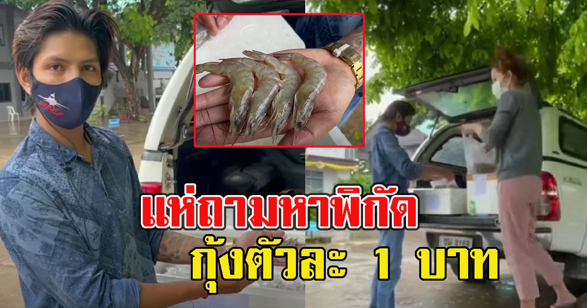 แห่ถามหาพิกัดกุ้งตัวละ 1 บาท หลังเจ้าของร้านอาหารทะเลมาเอง