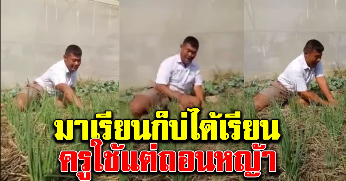 ครูให้นักเรียนไปถอนหญ้า เจอนักเรียนตอบกลับ