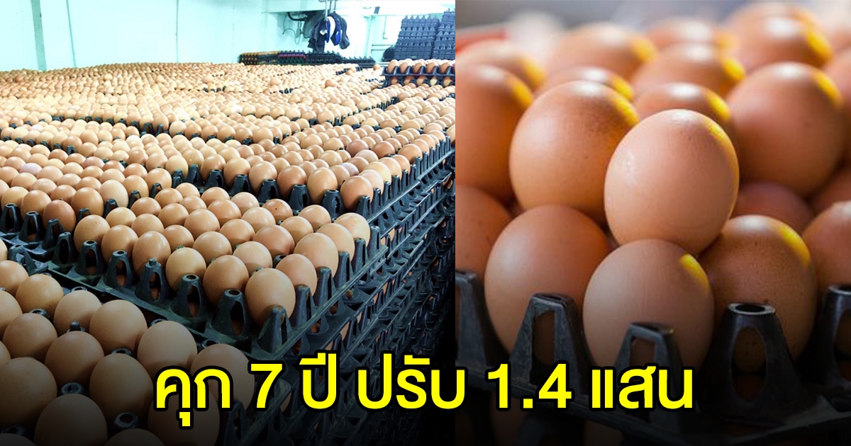 ตรึงราคาไข่ไก่ กักตุน-ขายโก่งราคาเจอคุก 7 ปี ปรับ 1.4 แสน