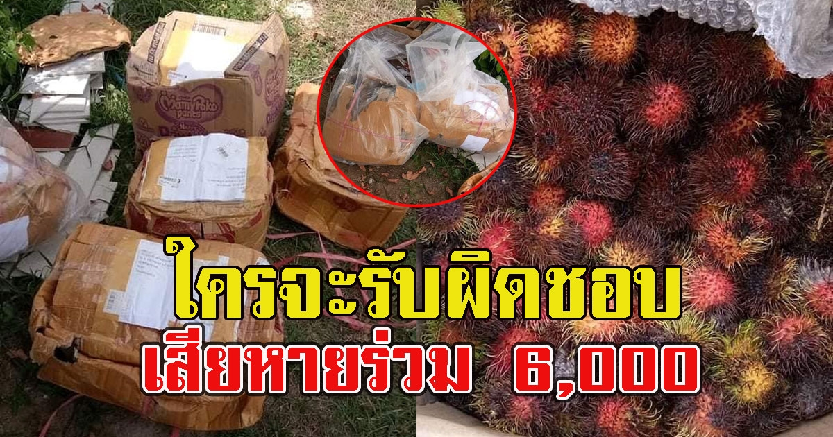 เกษตรกรโอด ส่งผลไม้ขนส่งดัง เสียหายร่วม 6,000 ใครจะรับผิดชอบ