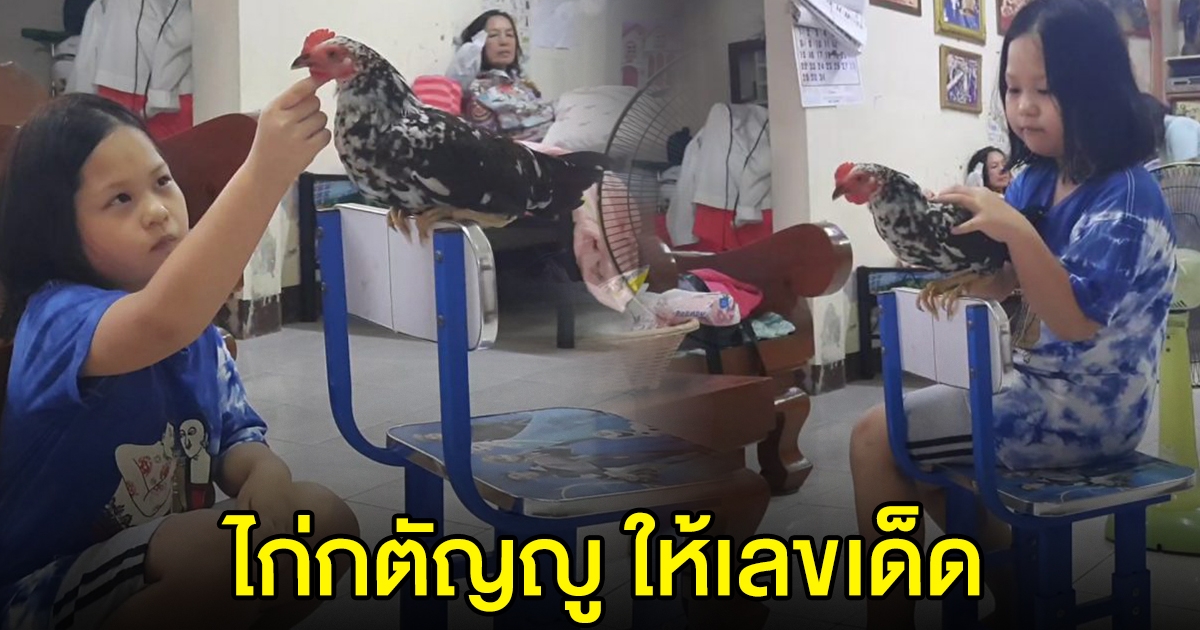 หนูน้อย เลี้ยงไก่
